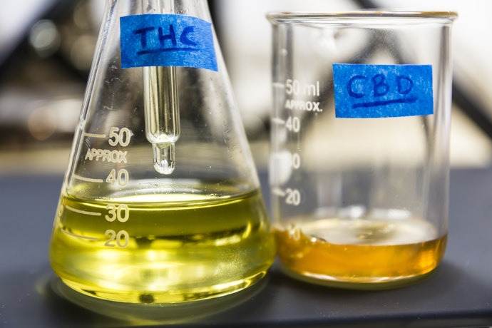 THC and CBD oil in chemistry flasks 