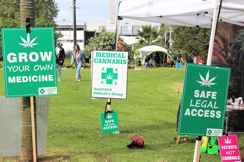 Cover Image for Medicinal cannabis in Aotearoa: what you need to know