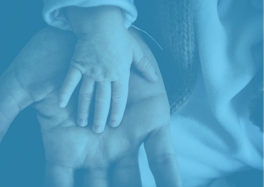Child hand in parents Kids