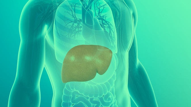 Does the liver heal itself?