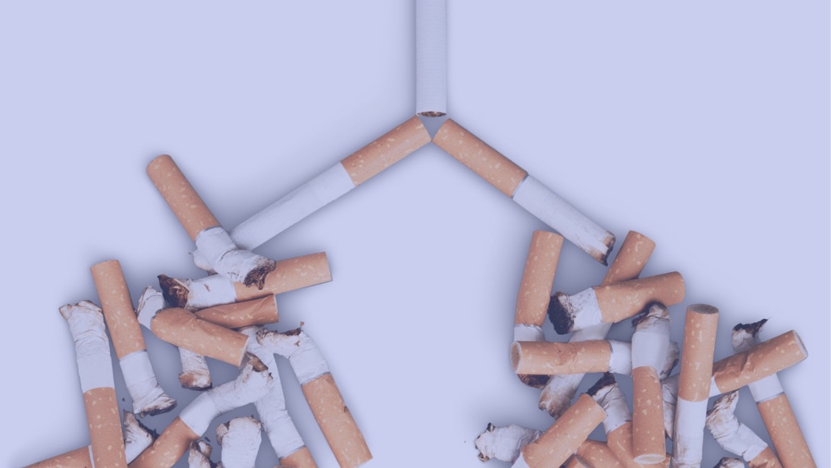What Causes Cigarette Addiction What Causes Cigarette Addiction