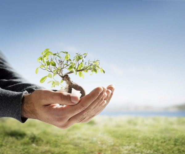 cultivating greatness