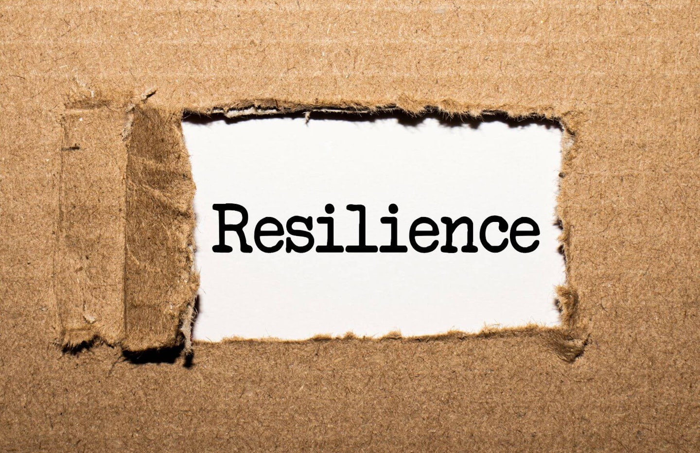 resilience