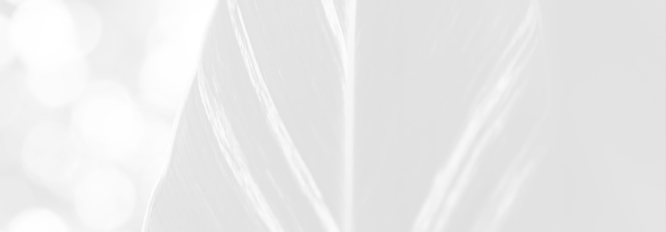 Banner media