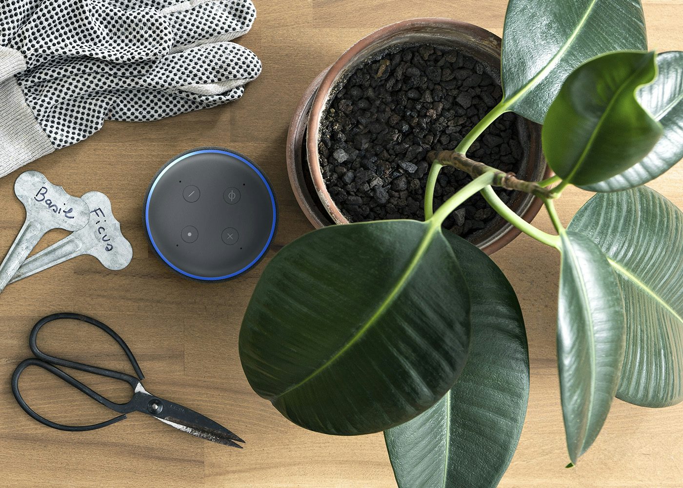 Alexa, water plants in the living room