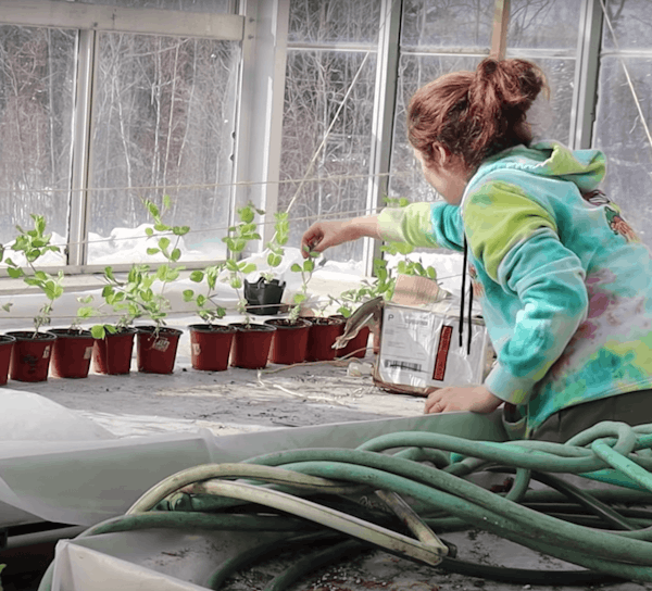 Building an Automated Greenhouse at White Mountains High School