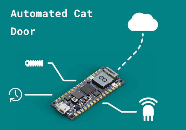 Automated cat door