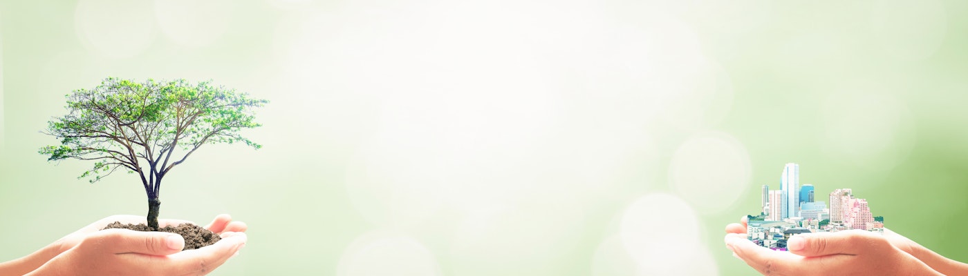 Hand met een boom en hand met skyline