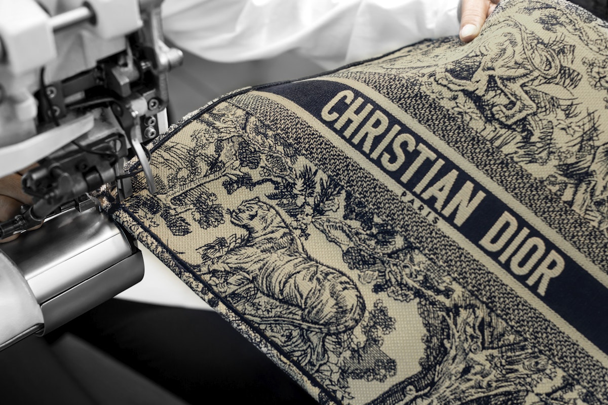 dior book tote tiger