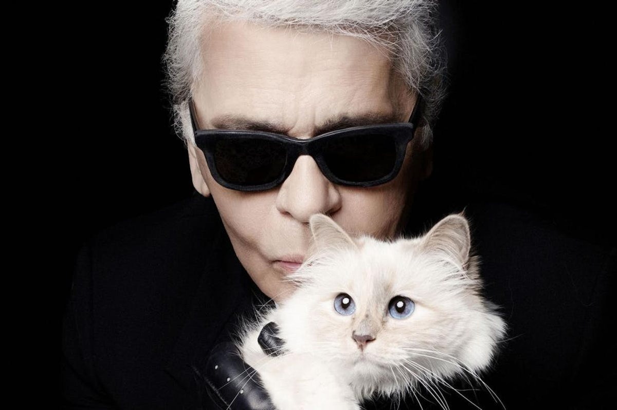 What will happen with Choupette?