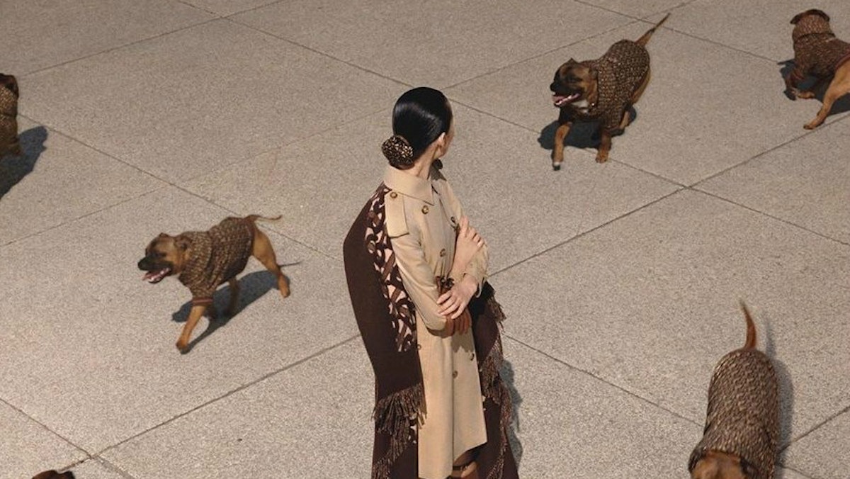 Burberry Has Made A Coat For Dogs