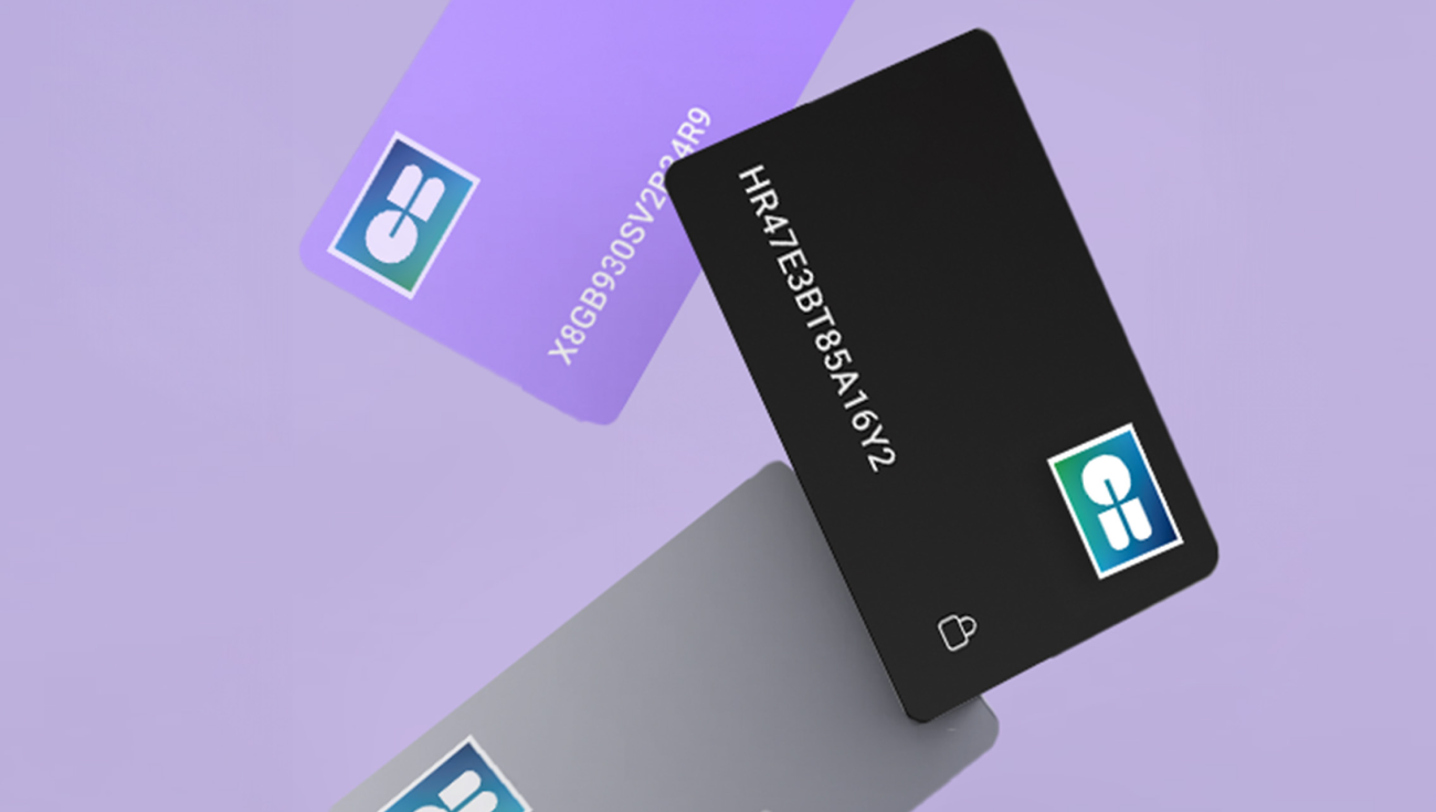 What is a domestic card scheme? Primer