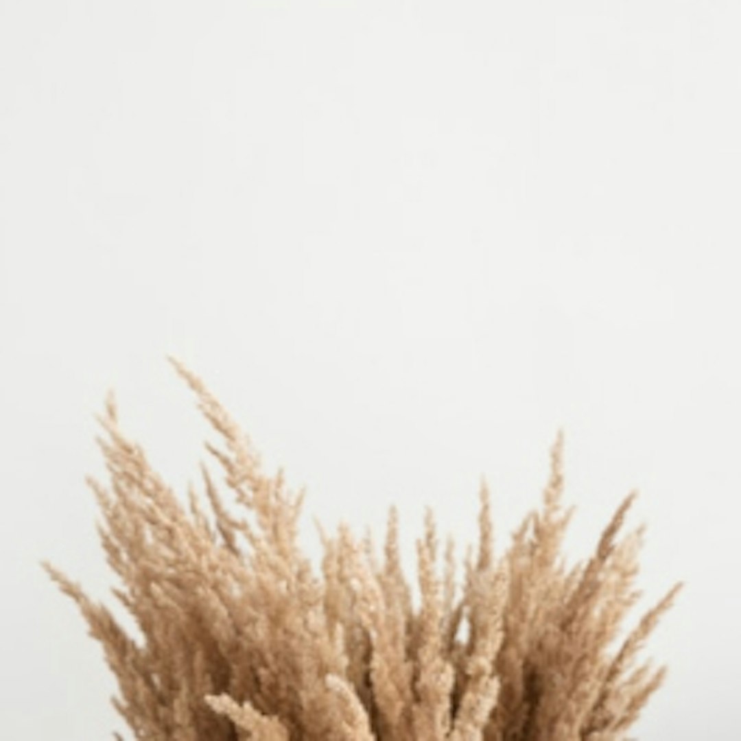 Posher Decor