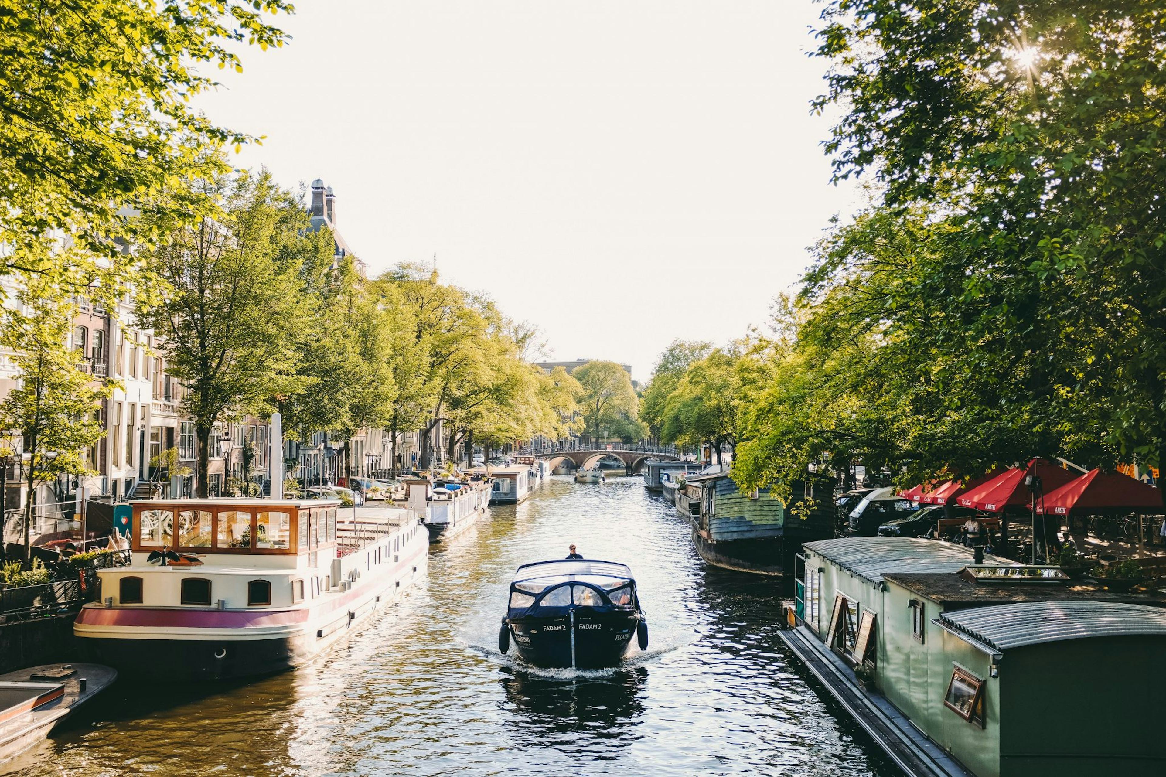 Benelux startups and scaleups to watch in 2022