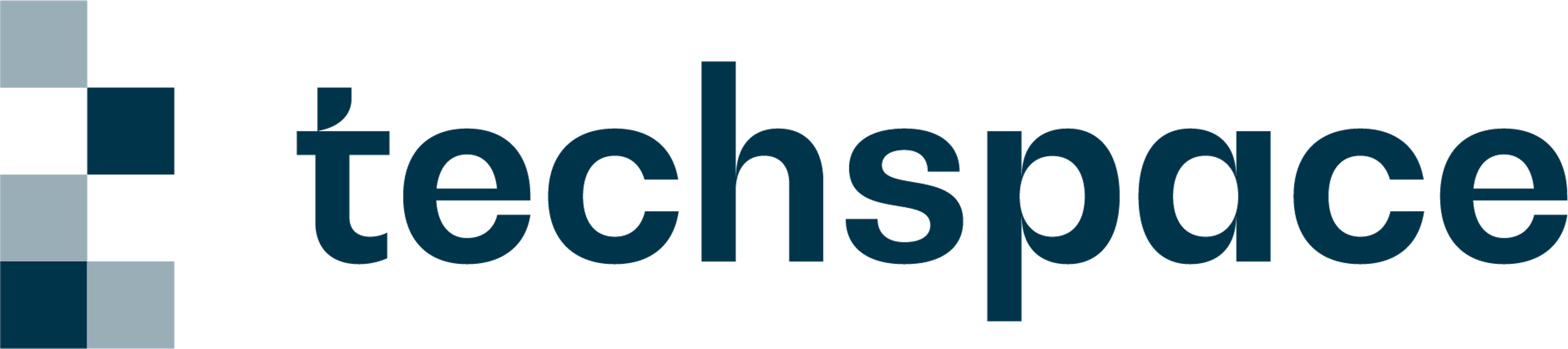 Techspace Eiswerk logo