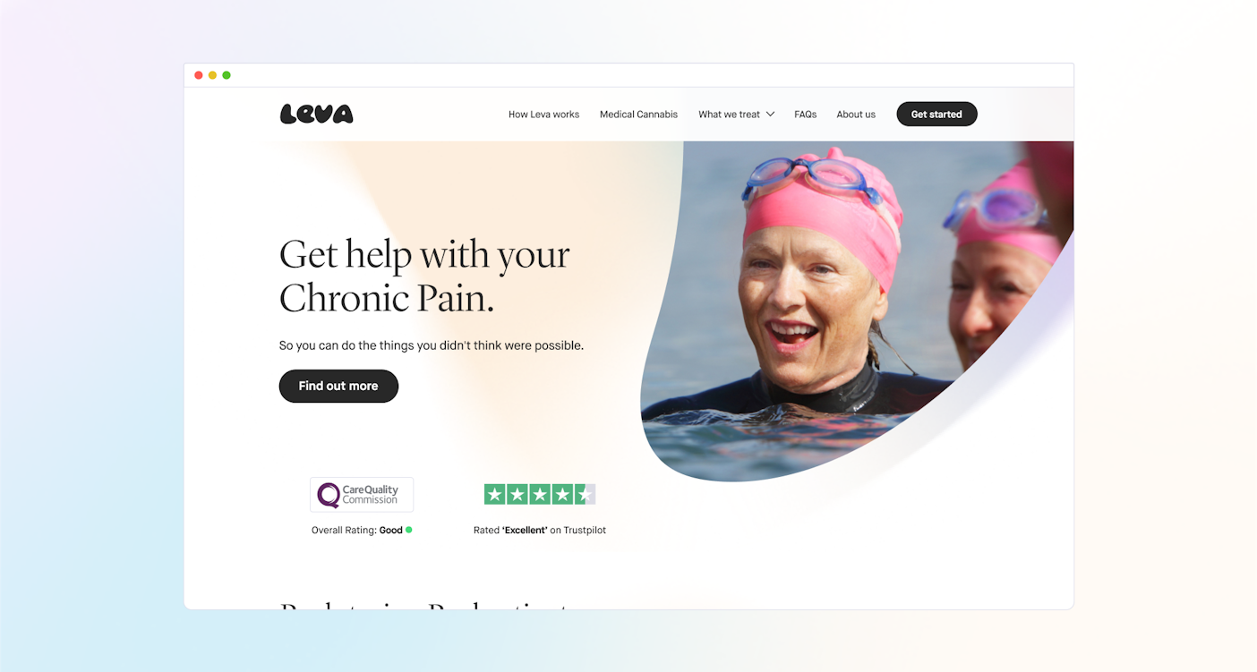 Image of the leva homepage