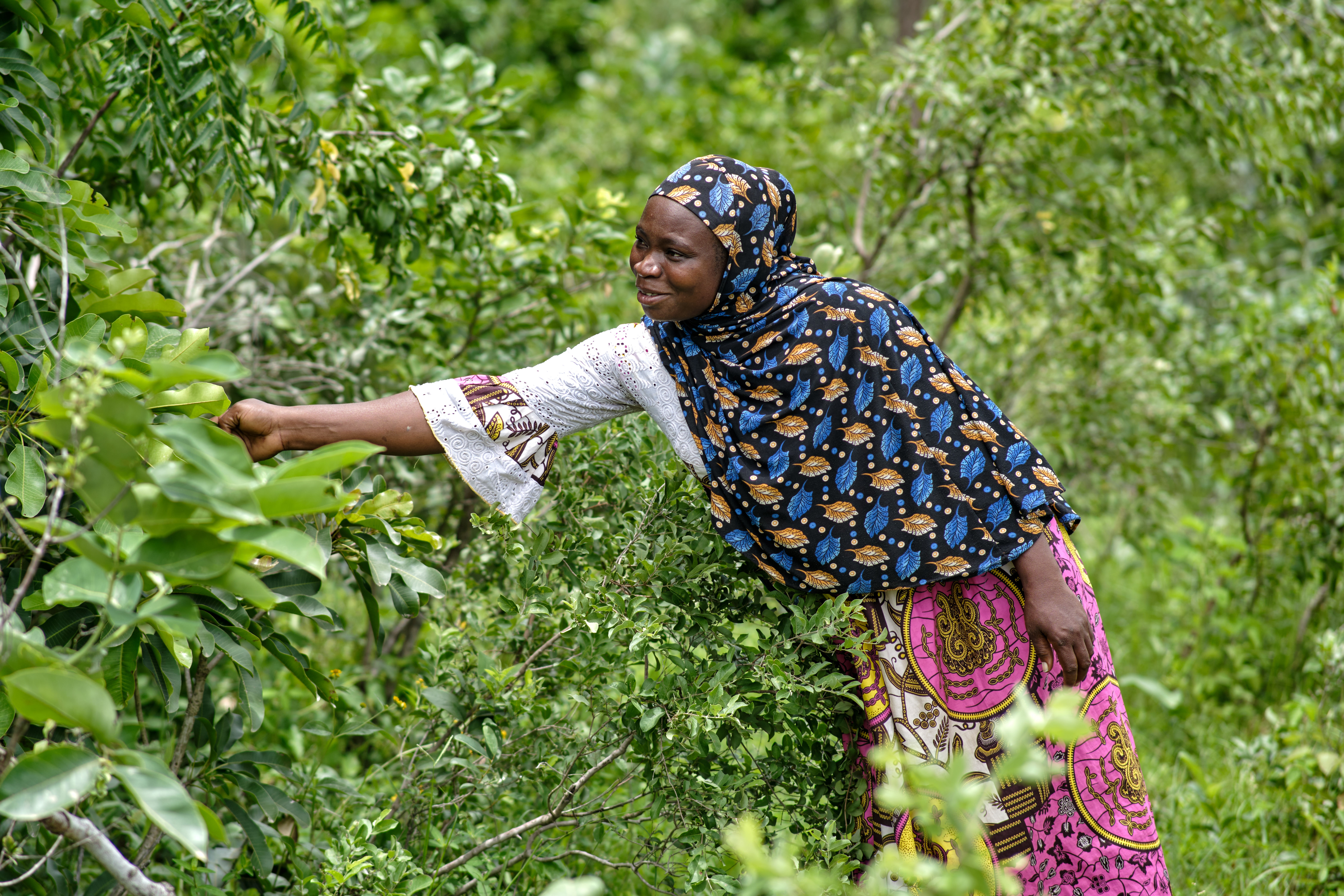 Image by Tree Aid/Jhoe Sey