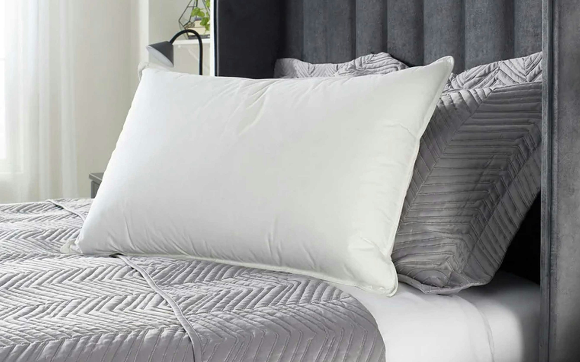 Which is Better, Goose Down or Duck Down?