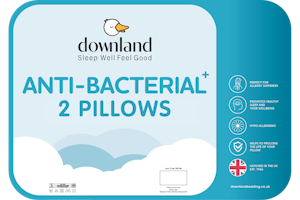 Anti Bacterial Pillow Pair