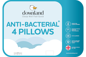 Anti Bacterial 4 Pillows