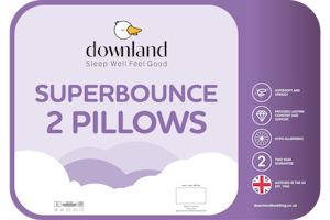 Superbounce Pillow Pair