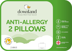 Anti Allergy 2 Pillows