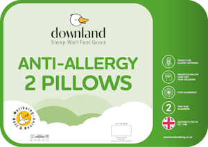 Anti Allergy 2 Pillows