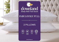 Fabulously Full Pillow Pair