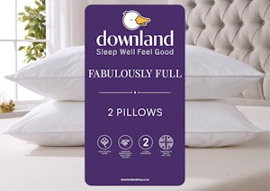 Fabulously Full Pillow Pair