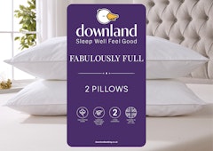 Fabulously Full Pillow Pair