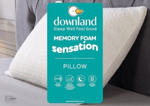 Memory Foam Sensation Pillow