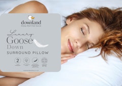 Goose Feather Surround Pillow