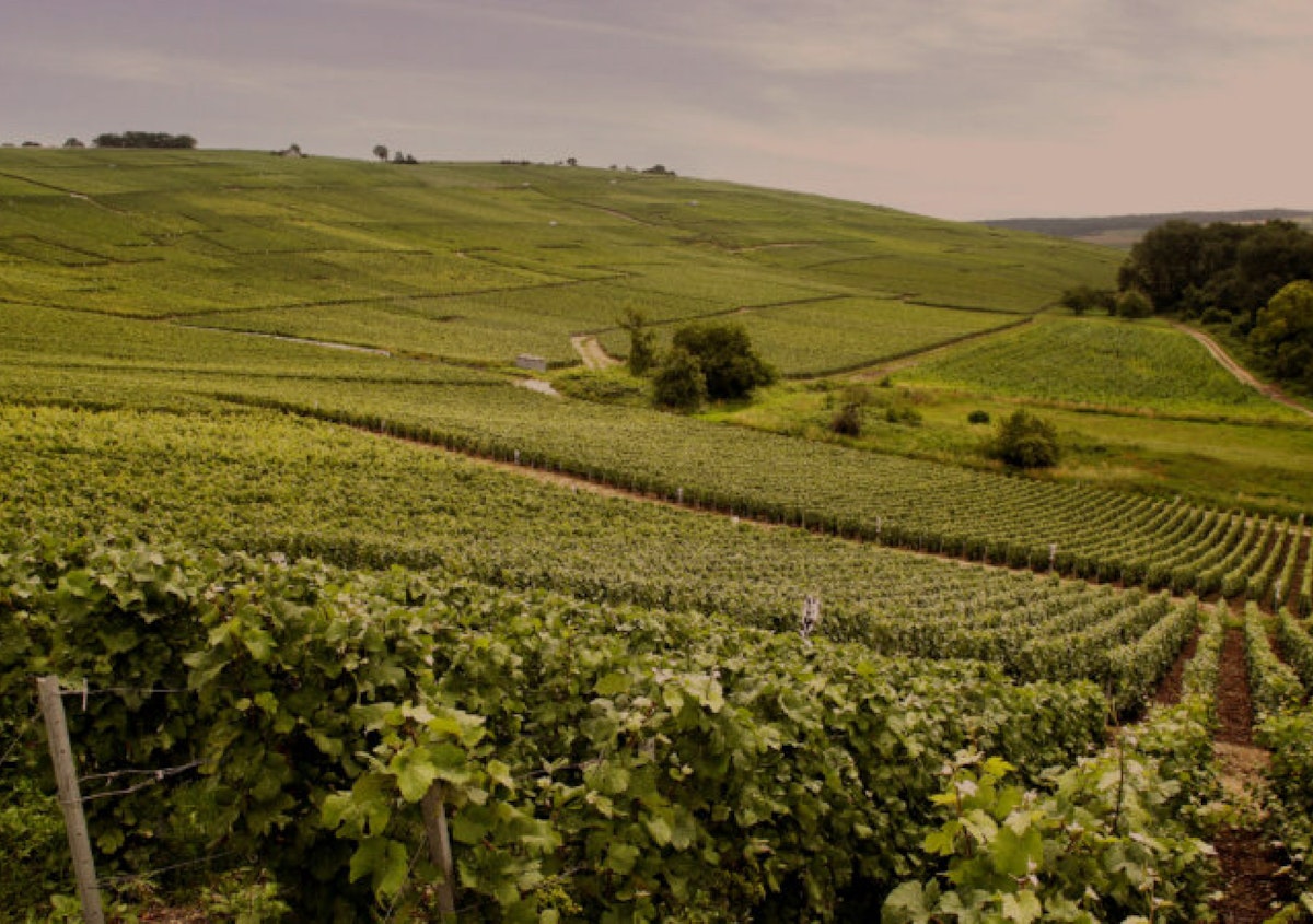 France Motherson Careers France Motherson Careers