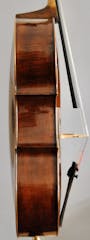 Ribs of a cello