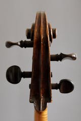Scroll of a cello