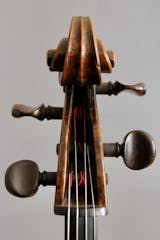 Scroll of a cello
