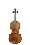 Body of a fine violin