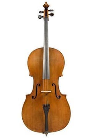 Fine violoncello