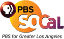 Dr. Maddahi interviewed by The American Health Journal on PBS SoCal