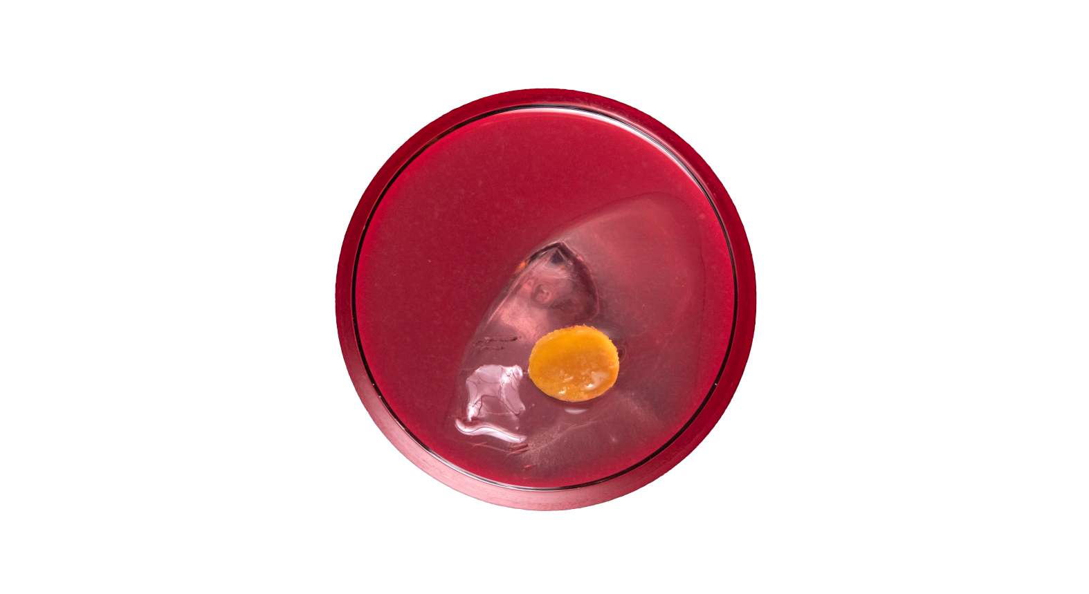 Cover Image for FLAMEL
