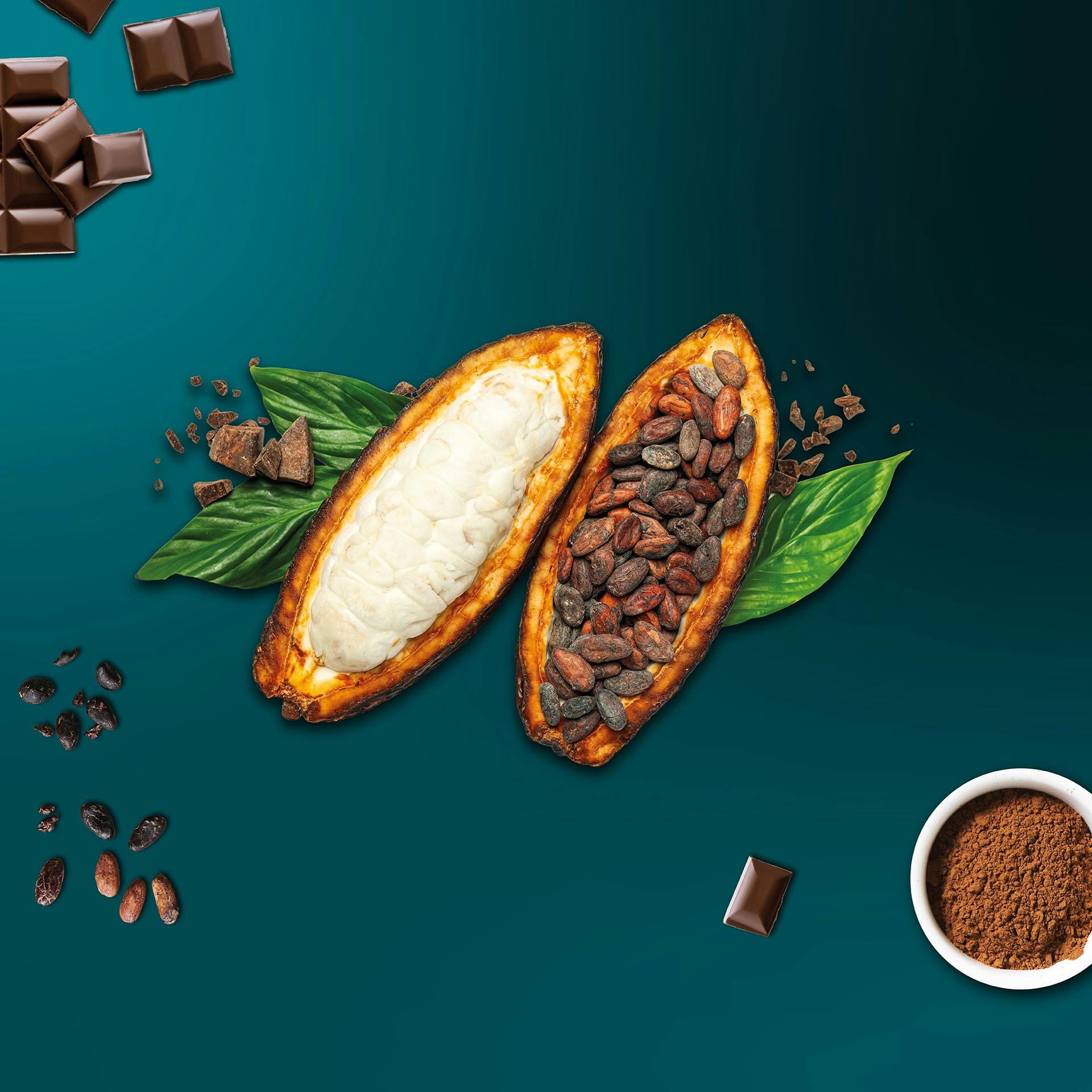 Chocolate Dinner Cover Image for Chocolate Dinner