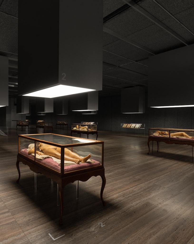 An anatomical theatre for Fondazione Prada