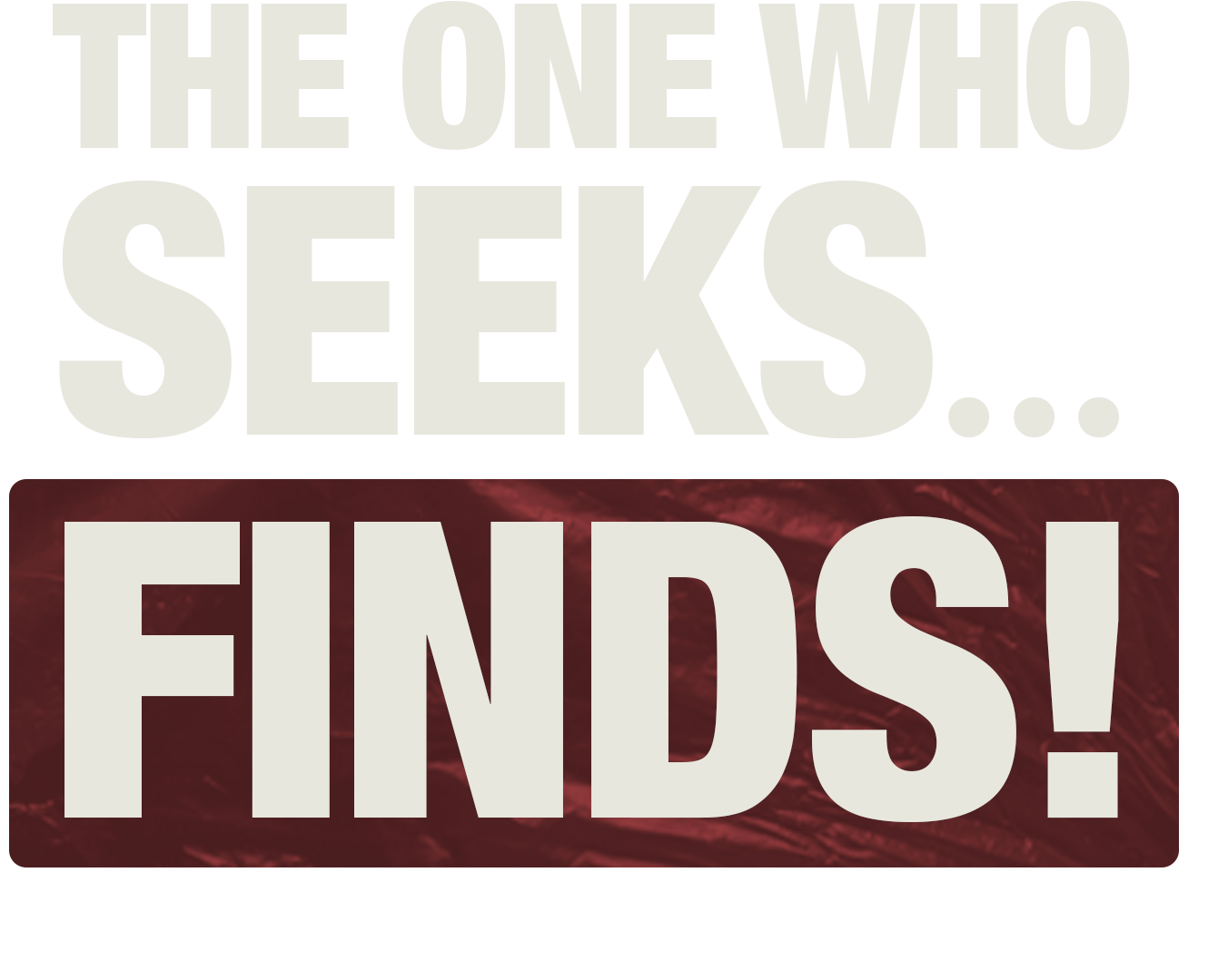 The One Who Seeks… Finds!