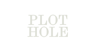 Plot Hole