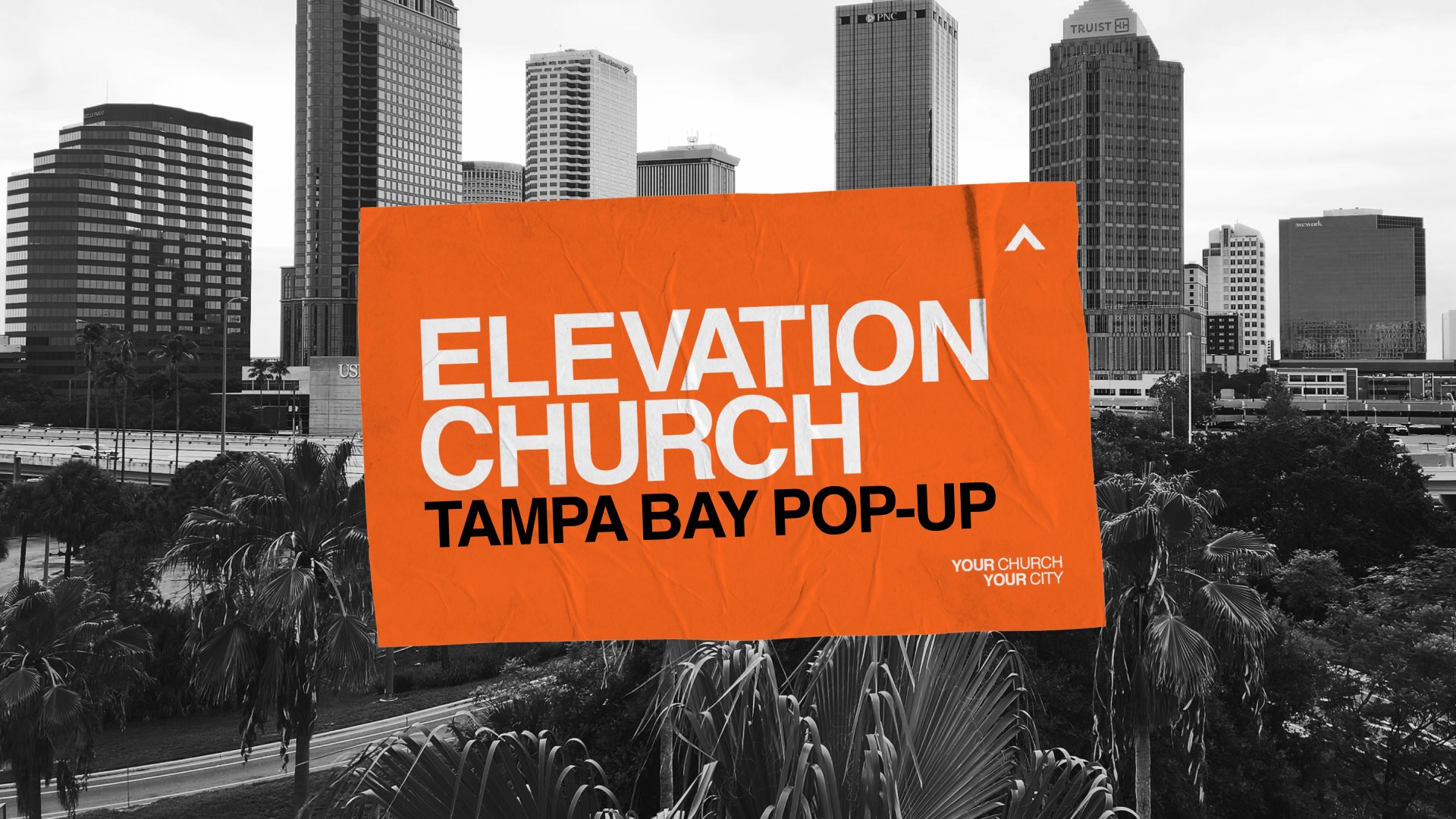 Pop-Up - Tampa Bay, FL