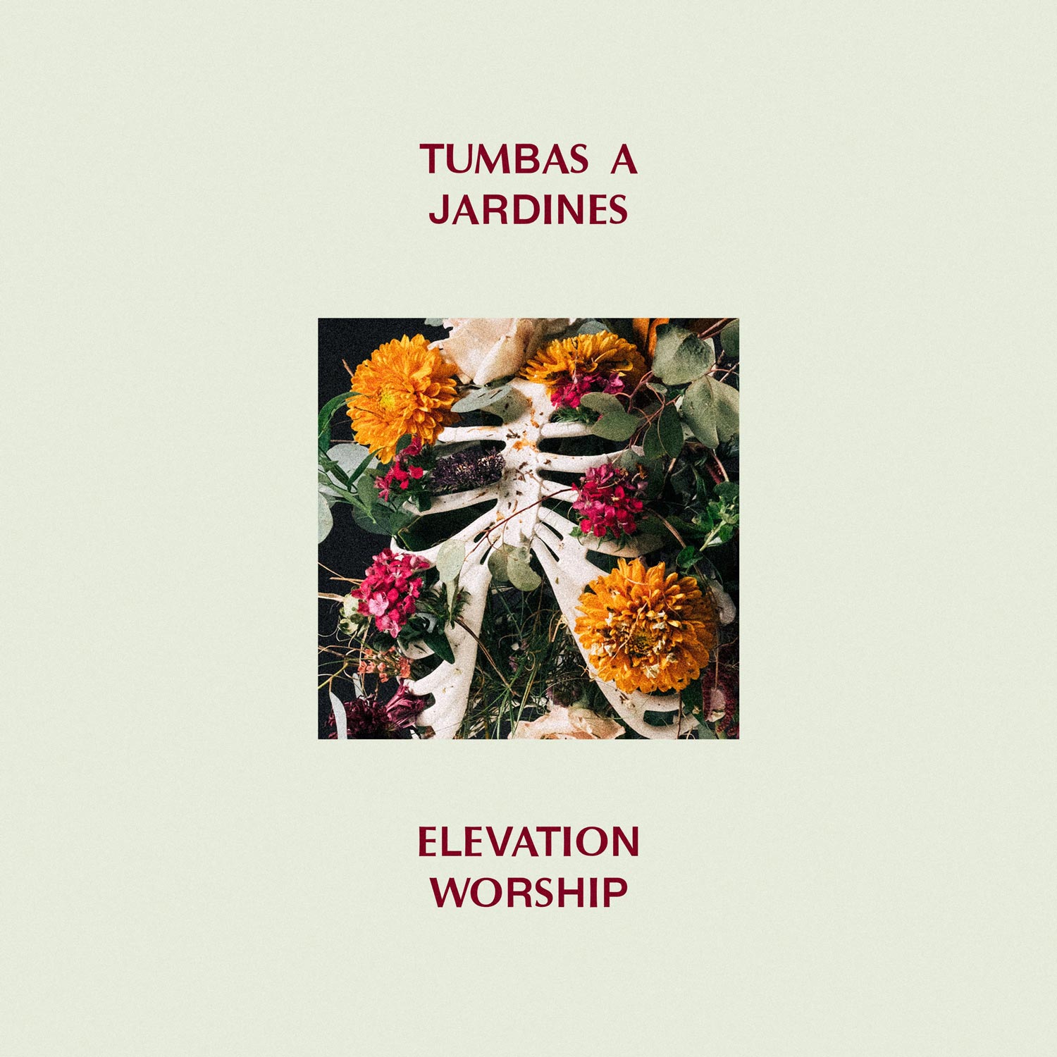 Tumbas A Jardines Album