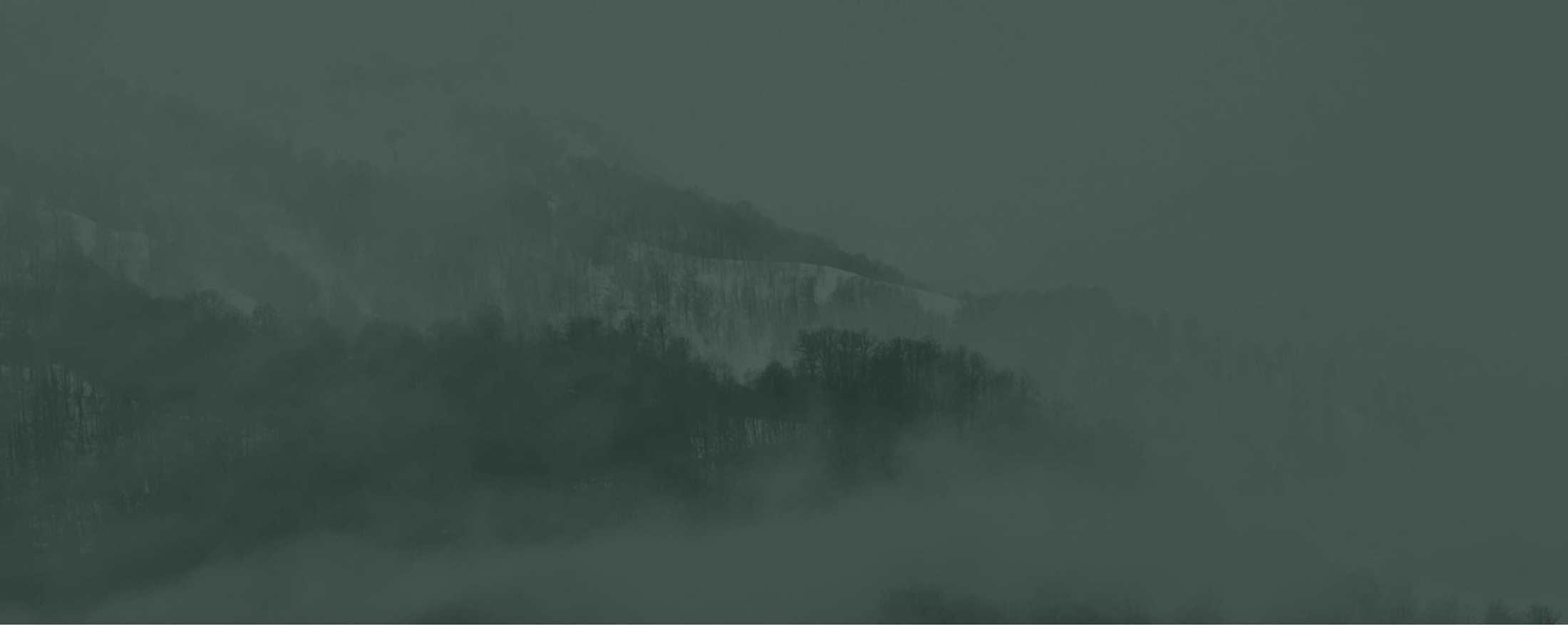 Misty mountain side with cliff and forest
