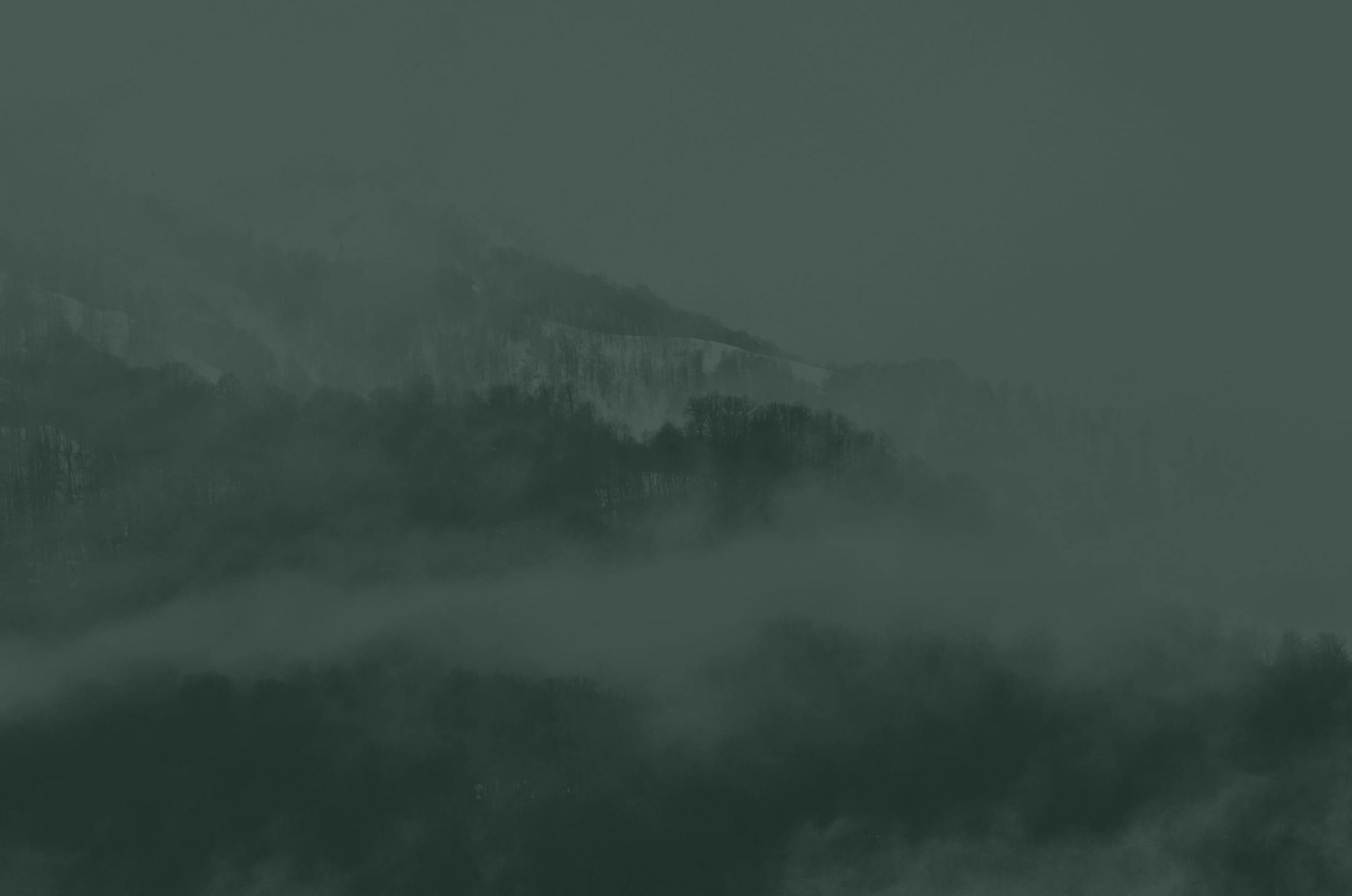 Background media