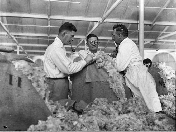 Wool classers