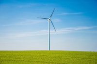 Windmolen in een weiland